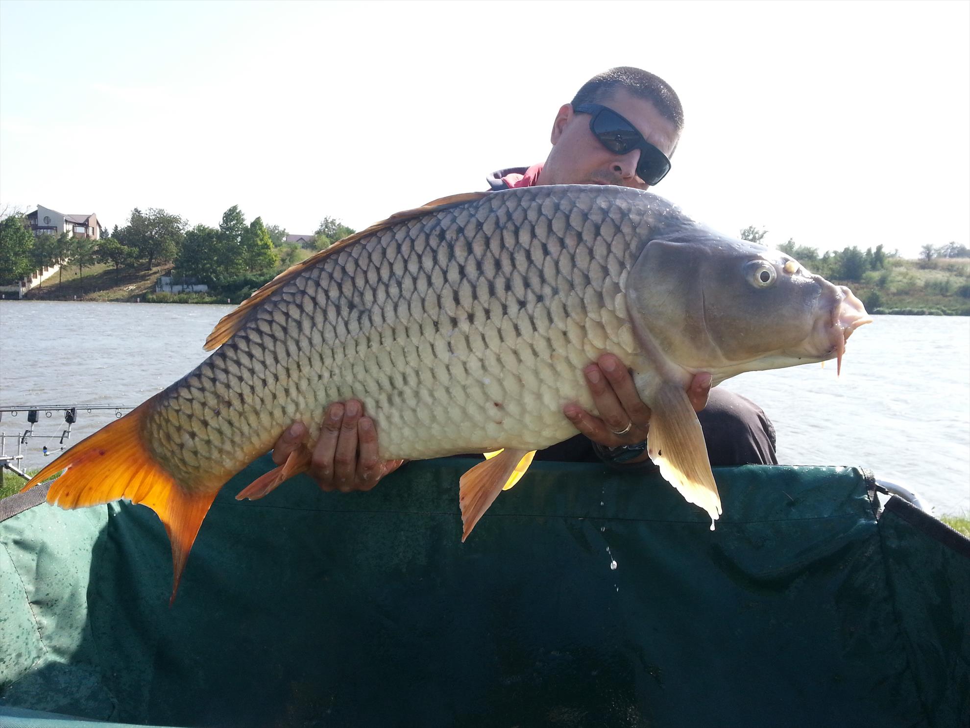 Moara Vlasiei 2 5 septembrie 2014 - 20140905153246.jpg